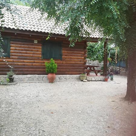 Cabana De Madera La Encina Burunchel Eksteriør billede